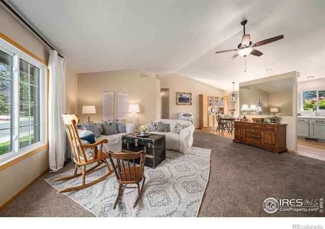 404 Meadow Dr, Windsor, CO 80550