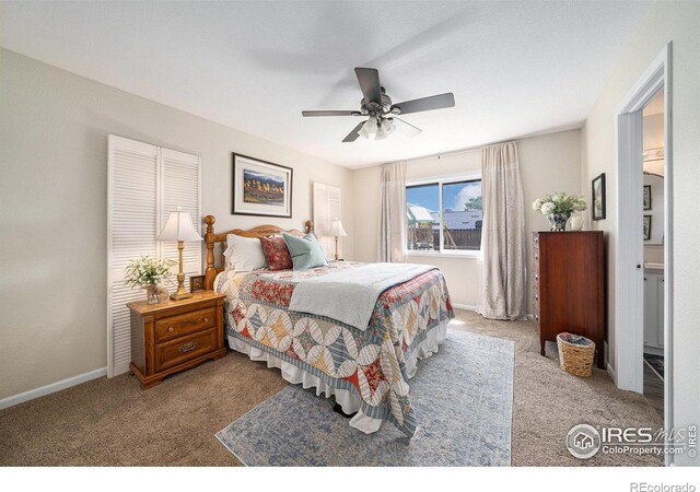 404 Meadow Dr, Windsor, CO 80550