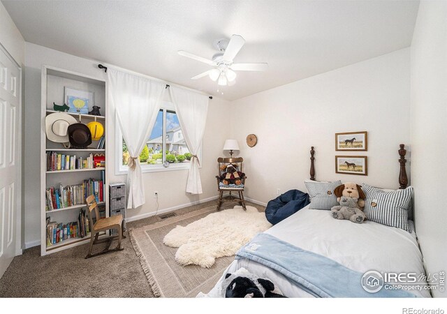 404 Meadow Dr, Windsor, CO 80550