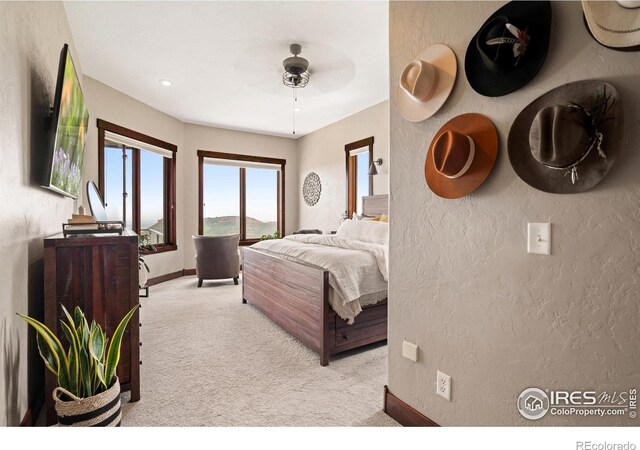12422 W County Road 18 E, Loveland, CO 80537 - photo 8