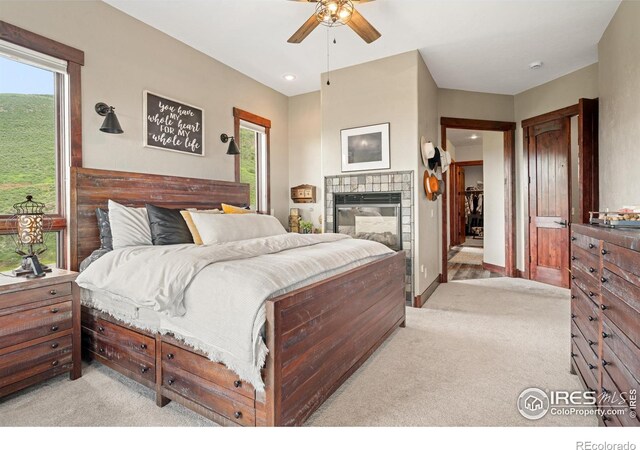 12422 W County Road 18 E, Loveland, CO 80537 - photo 9
