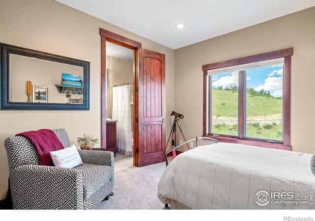 12422 W County Road 18 E, Loveland, CO 80537 - photo 23