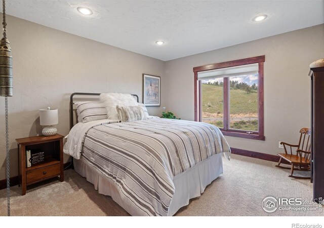 12422 W County Road 18 E, Loveland, CO 80537 - photo 27