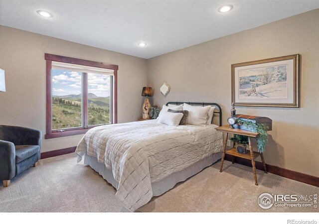12422 W County Road 18 E, Loveland, CO 80537 - photo 28