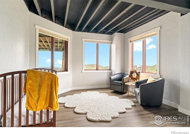 12422 W County Road 18 E, Loveland, CO 80537 - photo 34
