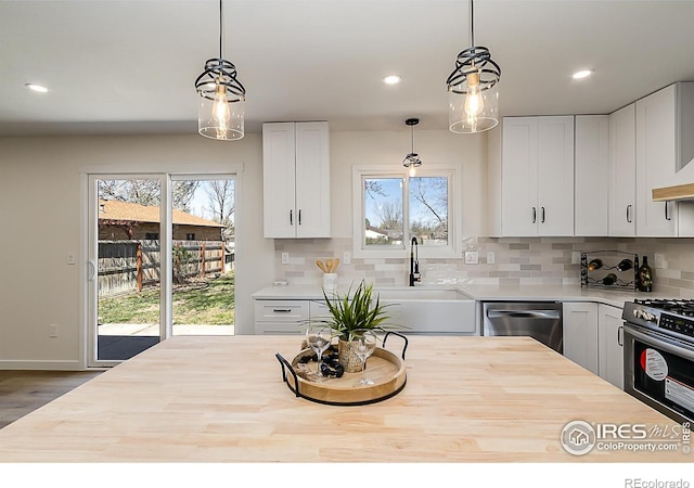 4117 Silene Pl, Loveland, CO 80537 - photo 11