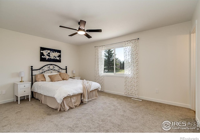 4117 Silene Pl, Loveland, CO 80537 - photo 17