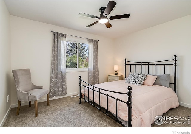 4117 Silene Pl, Loveland, CO 80537 - photo 20