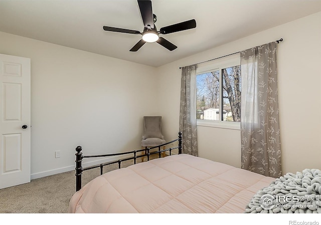 4117 Silene Pl, Loveland, CO 80537 - photo 21