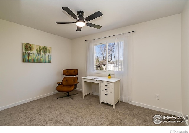4117 Silene Pl, Loveland, CO 80537 - photo 22