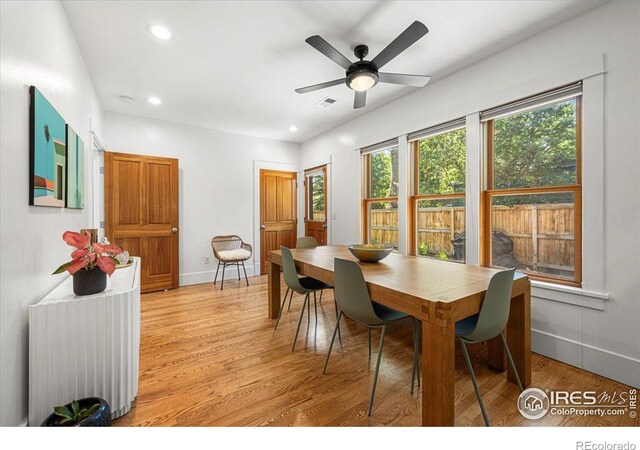 126 N Mack St, Fort Collins, CO 80521 - photo 11