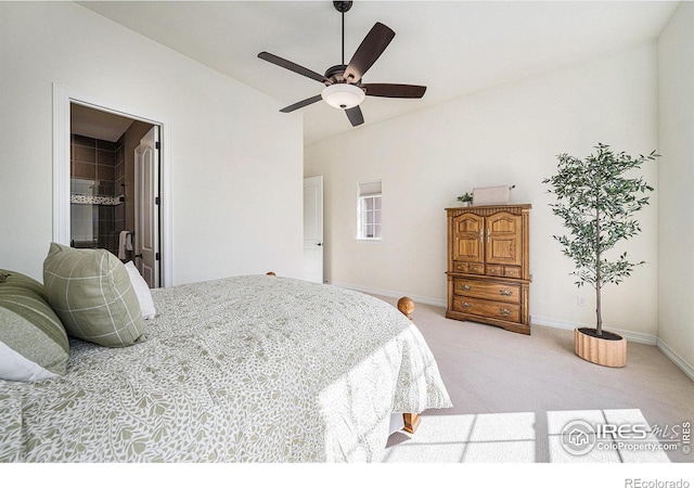 6227 Saker Ct, Fort Collins, CO 80528 - photo 23