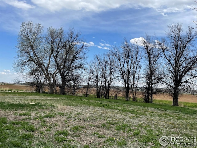 31496 County Road 29, Greeley, CO 80631 - view of yard with a view of countryside
