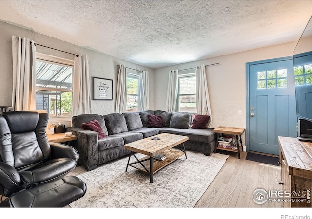 4009 W 52nd Ave, Denver, CO 80212 - living room featuring hardwood / wood-style floors, a textured ceiling, and a textured wall
