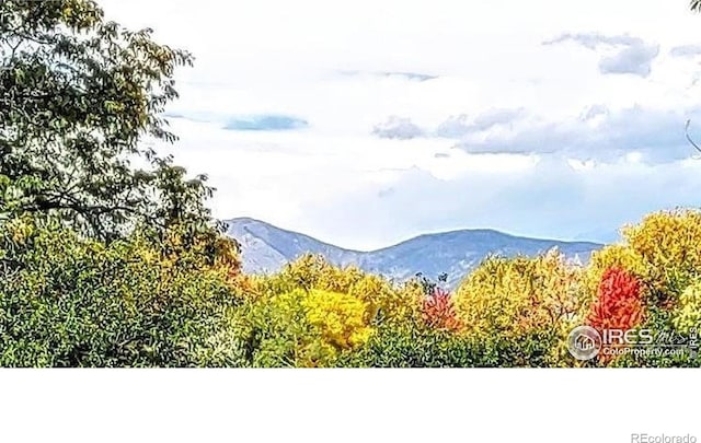 8840 Niwot Rd, Niwot, CO 80503 - mountain view
