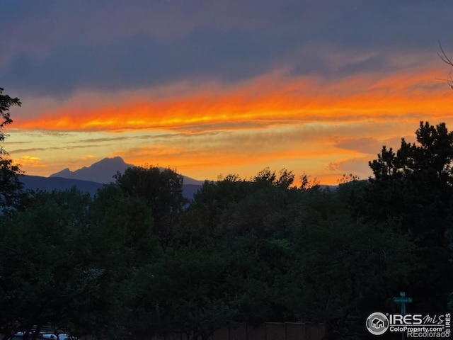 8840 Niwot Rd, Niwot, CO 80503 - view of mountain background