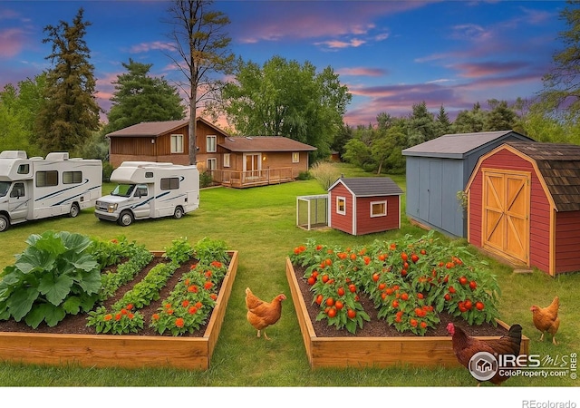 8840 Niwot Rd, Niwot, CO 80503 - view of grassy yard with a storage unit and a vegetable garden
