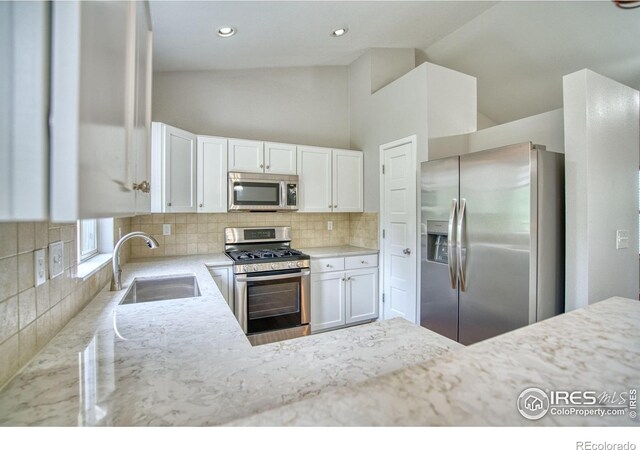 4646 Withers Dr, Fort Collins, CO 80524 - photo 10