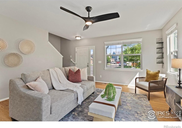1587 Edenbridge Dr, Windsor, CO 80550 - photo 8