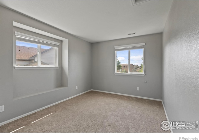 1587 Edenbridge Dr, Windsor, CO 80550 - photo 24