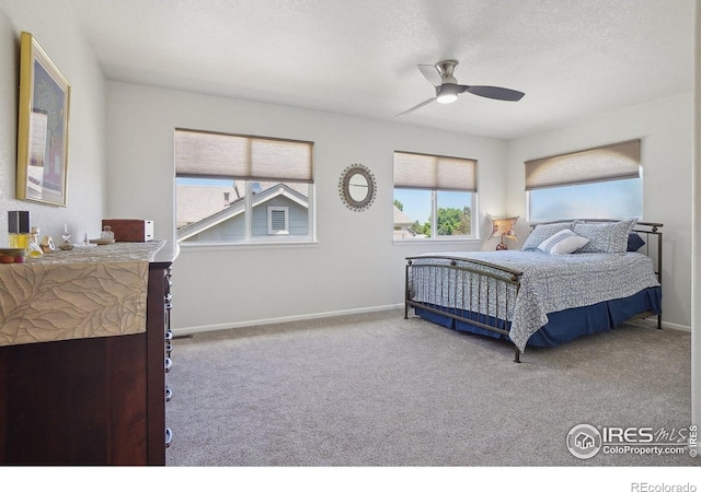 7755 Halleys Dr, Littleton, CO 80125 - photo 26