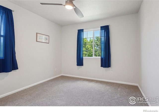 7755 Halleys Dr, Littleton, CO 80125 - photo 30