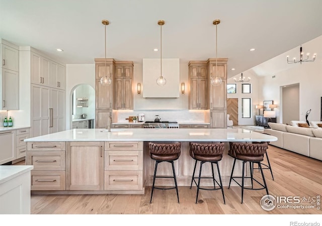 1126 W Enclave Cir, Louisville, CO 80027 - kitchen featuring light wood finished floors, light countertops, open floor plan, and arched walkways
