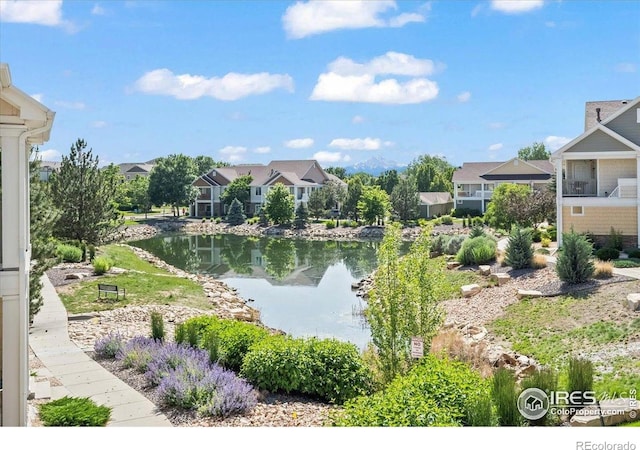 4865 Hahns Peak Dr Unit 203, Loveland, CO 80538 - photo 3