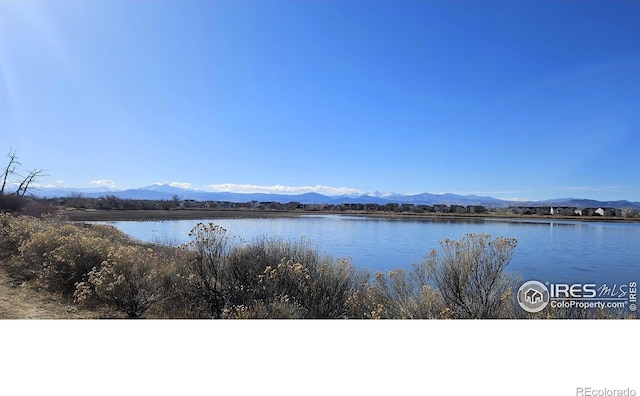 4865 Hahns Peak Dr Unit 203, Loveland, CO 80538 - photo 5