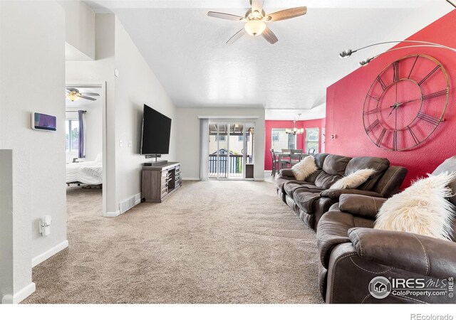 318 49th Avenue Pl, Greeley, CO 80634 - photo 8