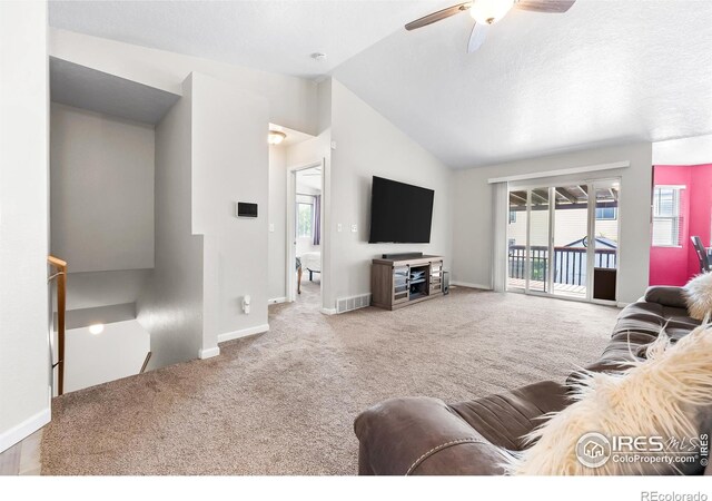 318 49th Avenue Pl, Greeley, CO 80634 - photo 9