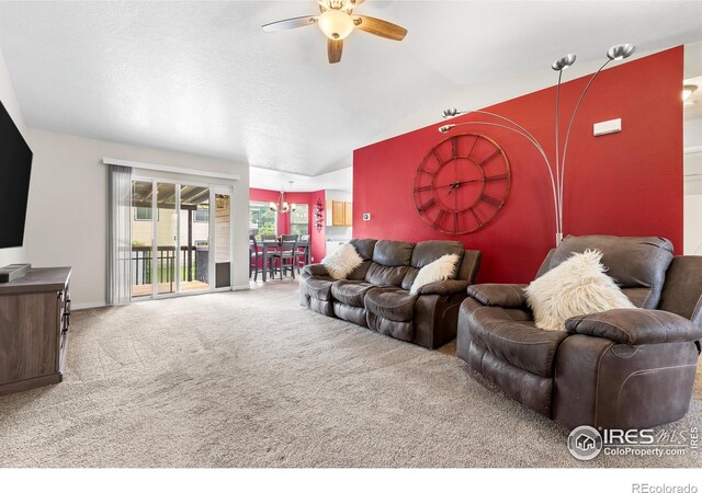 318 49th Avenue Pl, Greeley, CO 80634 - photo 11
