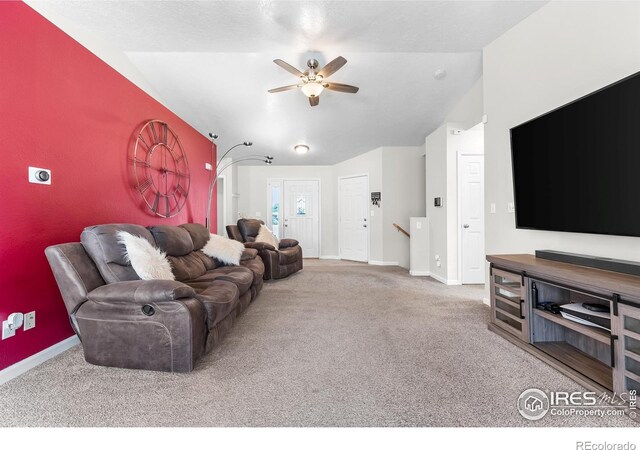 318 49th Avenue Pl, Greeley, CO 80634 - photo 14