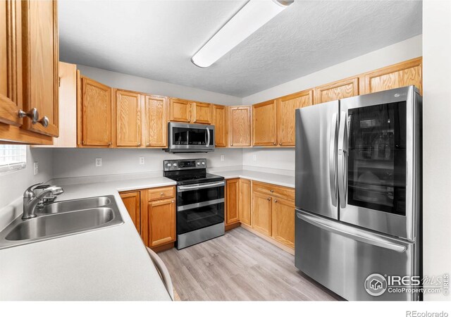 318 49th Avenue Pl, Greeley, CO 80634 - photo 18