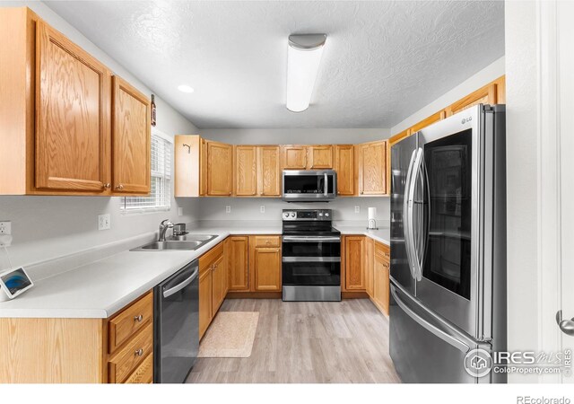 318 49th Avenue Pl, Greeley, CO 80634 - photo 19