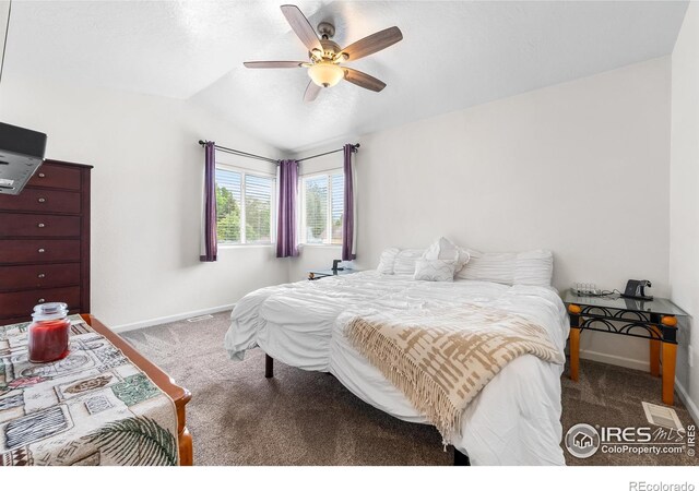 318 49th Avenue Pl, Greeley, CO 80634 - photo 21