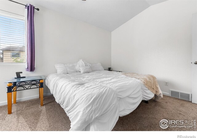 318 49th Avenue Pl, Greeley, CO 80634 - photo 23