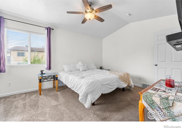 318 49th Avenue Pl, Greeley, CO 80634 - photo 24
