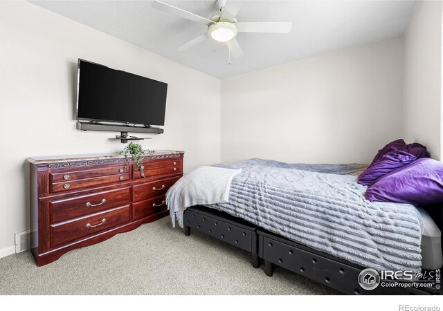318 49th Avenue Pl, Greeley, CO 80634 - photo 26