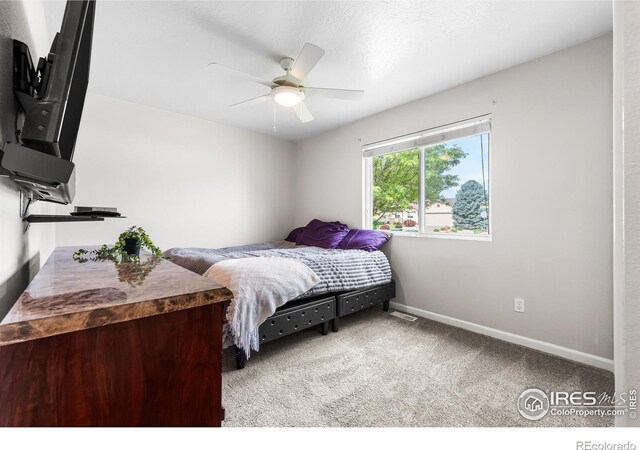 318 49th Avenue Pl, Greeley, CO 80634 - photo 27