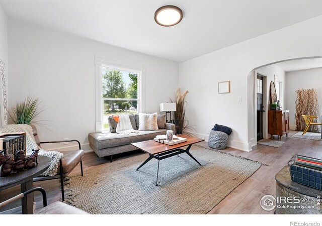 203 N Jefferson Ave, Loveland, CO 80537 - photo 10