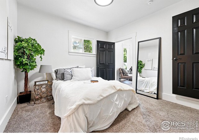 203 N Jefferson Ave, Loveland, CO 80537 - photo 21