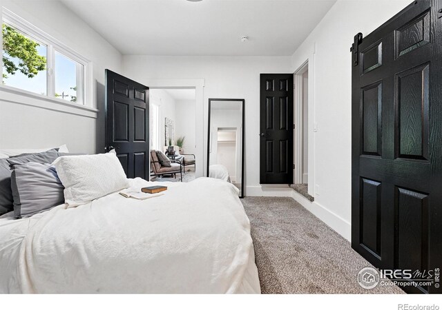 203 N Jefferson Ave, Loveland, CO 80537 - photo 22
