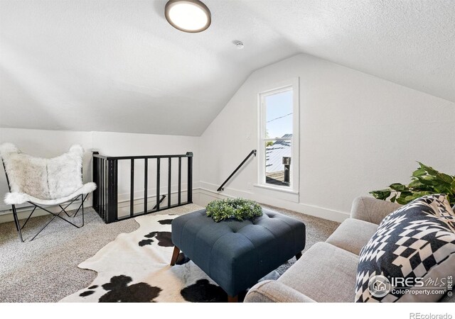 203 N Jefferson Ave, Loveland, CO 80537 - photo 31