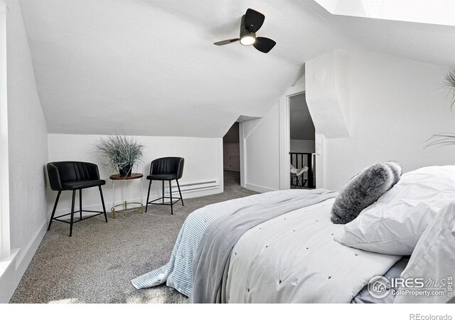 203 N Jefferson Ave, Loveland, CO 80537 - photo 32