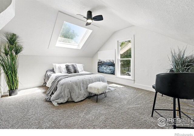 203 N Jefferson Ave, Loveland, CO 80537 - photo 33
