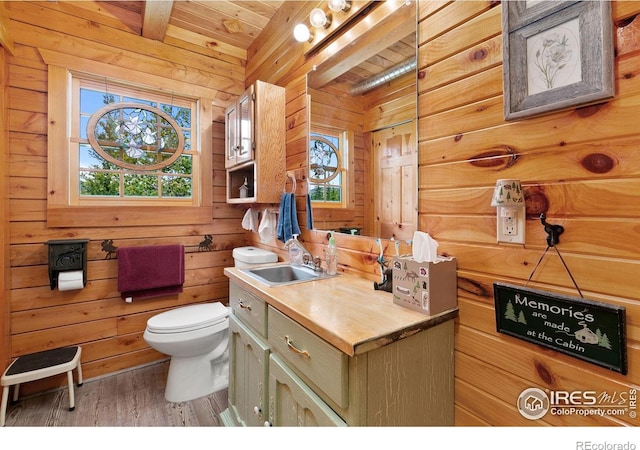 90 Woccon Ct, Red Feather Lakes, CO 80545 - bathroom with vanity, wood finished floors, and wood walls