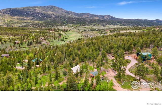 90 Woccon Ct, Red Feather Lakes, CO 80545 - view of mountain backdrop