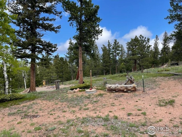 90 Woccon Ct, Red Feather Lakes, CO 80545 - view of yard