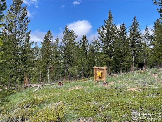 90 Woccon Ct, Red Feather Lakes, CO 80545 - view of yard featuring a view of trees